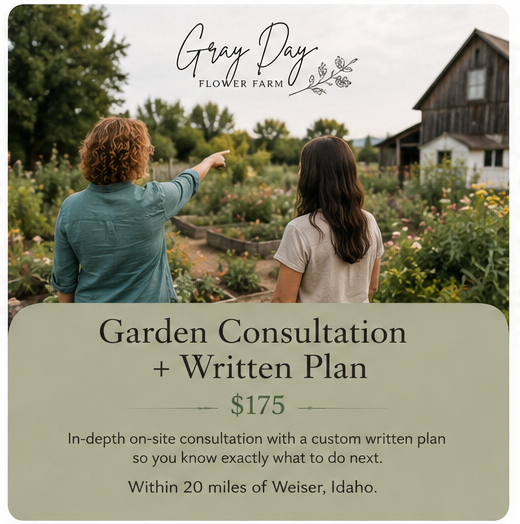 Garden Consultation + Written Plan