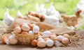 Farm Fresh Eggs Dozen
