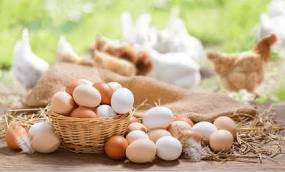 Farm Fresh Eggs Dozen