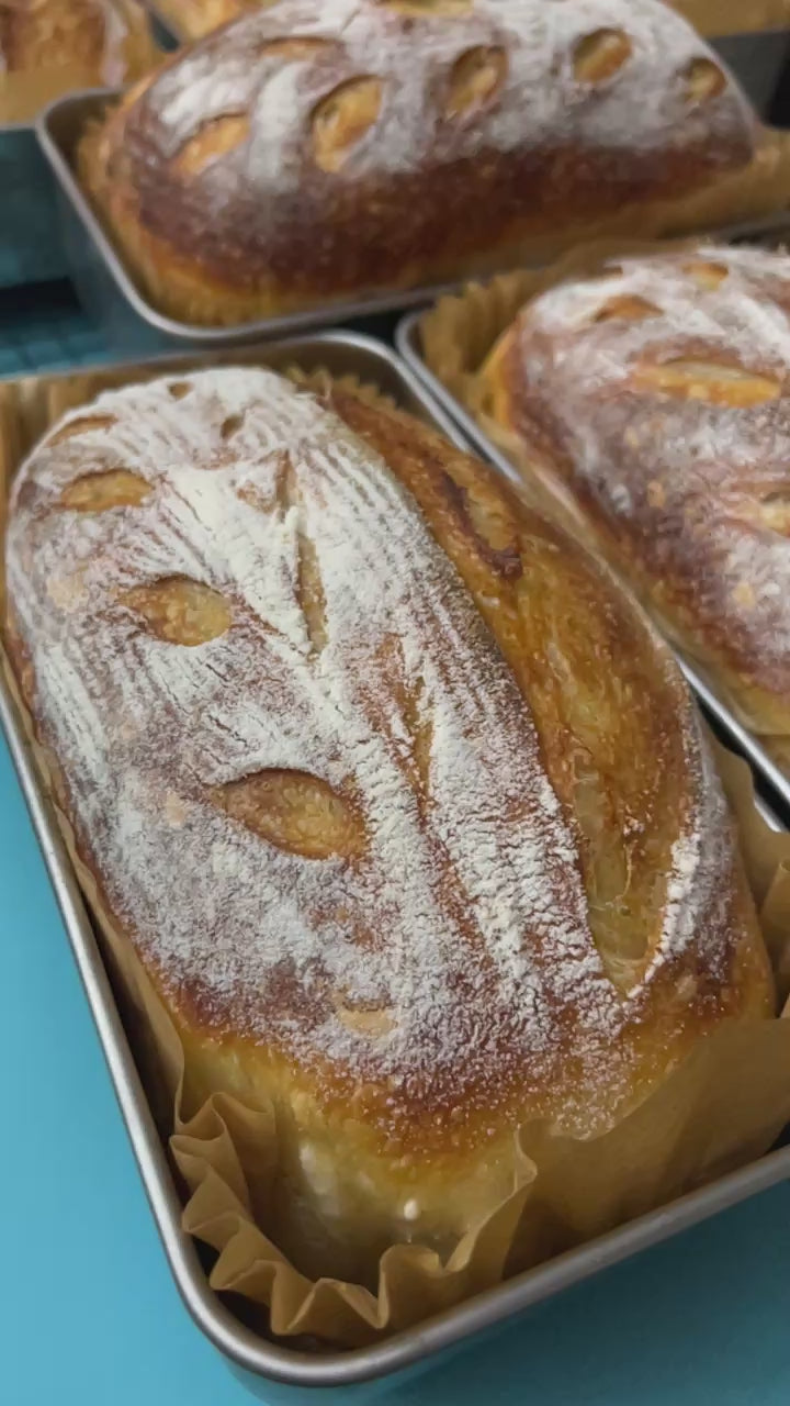 Sourdough Loaf (Plain)